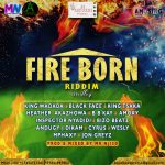Fire Born Riddim Medley feat The Various Artists (Mixed & Prod by Mr Njiso 54 Records)