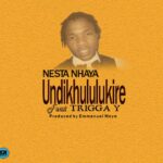 Nesta Nhaya ft Trigga Y-Undikhululukire  prod Emmanuel Moyo