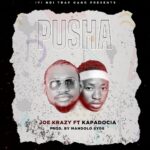Joe Krazy ft Kapadocia – Pusha (Produced by Mandolo Syde)